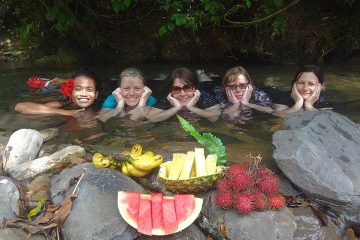 6 Day North Sumatra Jungles Orangutans Overnight trek and Hot Springs image