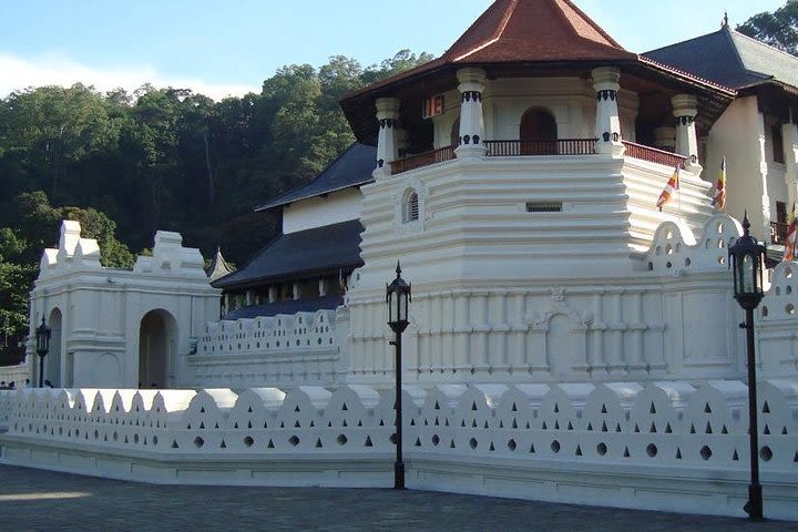 Kandy City Tour  image