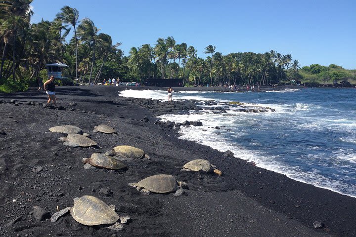 Small-Group Big Island Tour: Hawaii Volcanoes National Park and Kona Coffee Farm image