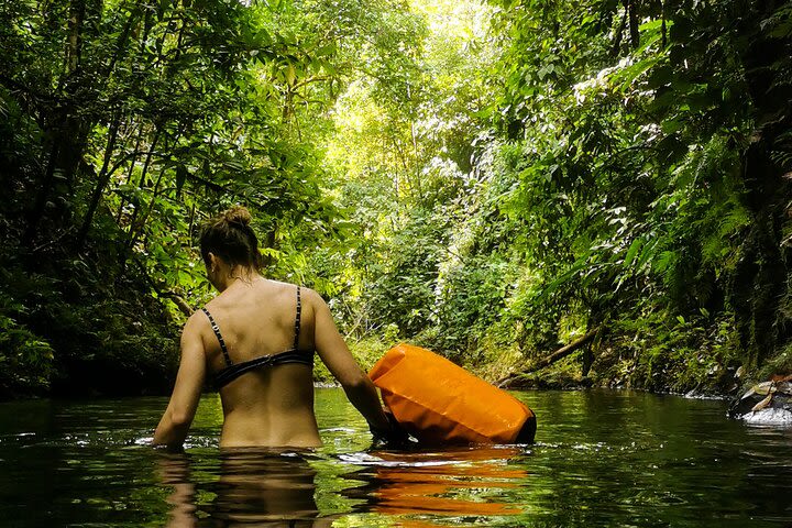 Jungle Hike with Canyoning and Rappelling in Drake Bay image