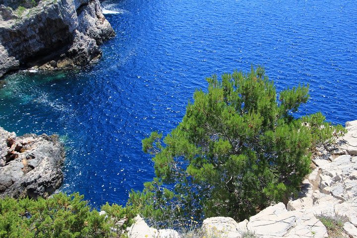 KORNATI by speed boat image