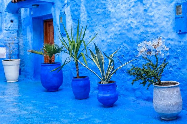 Day Trip To Chefchaouen , Small Group image