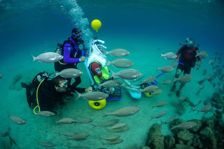 Sea Trek Diving for People with Limited Mobility in Lanzarote image