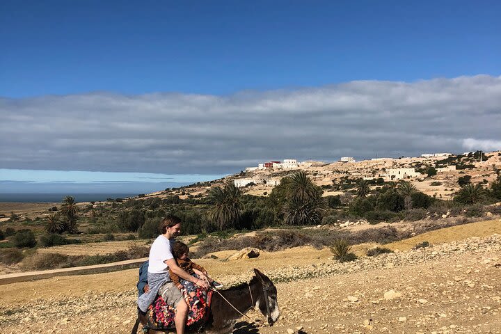 Walk with the donkey & Lunch at a Berber Family's Home. image