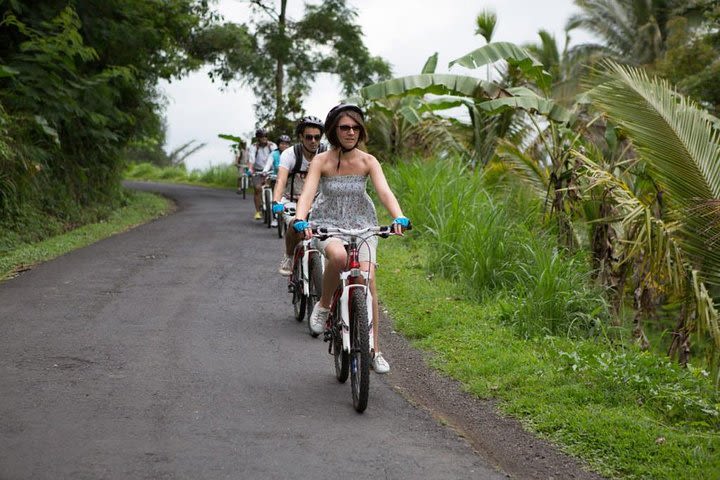 True Bali Experience - Jatiluwih Rice Paddy Cycling image