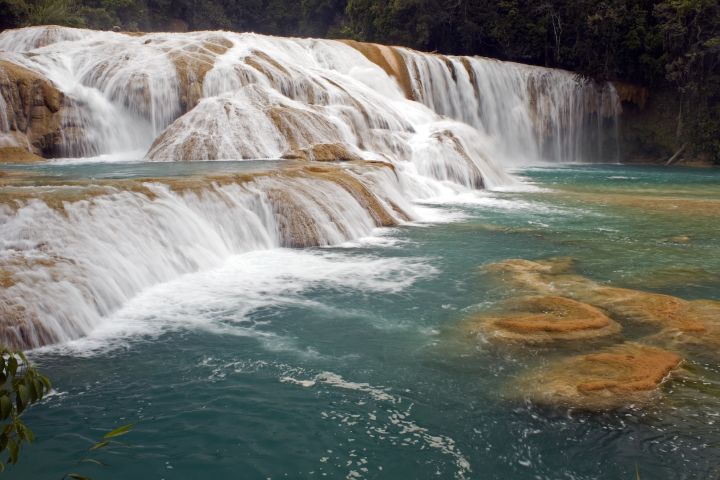 Palenque Ruins, Agua Azul and Misolha Waterfalls image