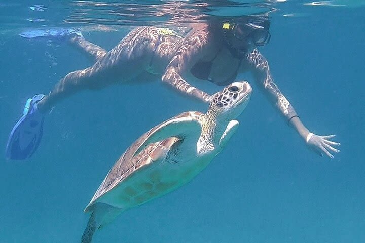 Snorkeling tour to Culebra Island image