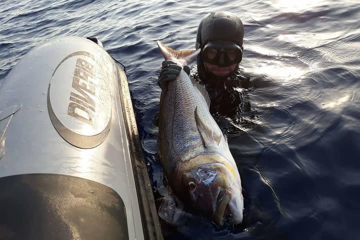 Spearfishing in Chania, Crete (price is per group) image