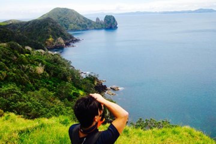 Coromandel Coastal Walkway ex Coromandel Town image