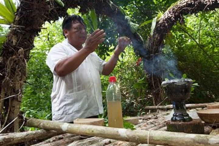 Private Tour Punta Laguna Monkey Sanctuary Zip Line image