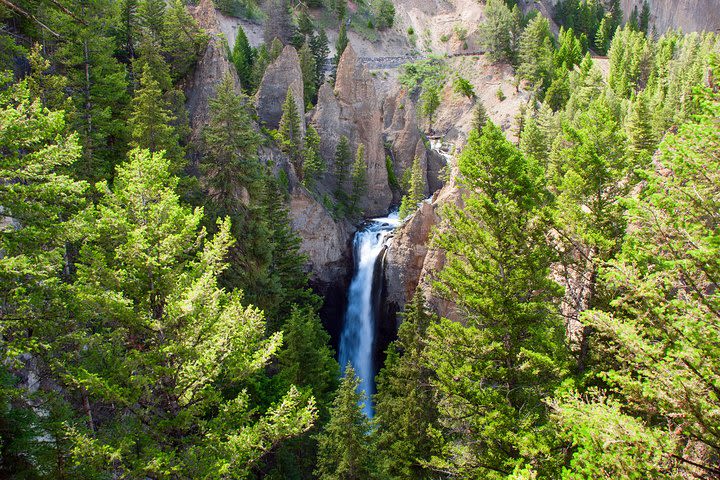 Full-Day Private Tour in Yellowstone National Park image