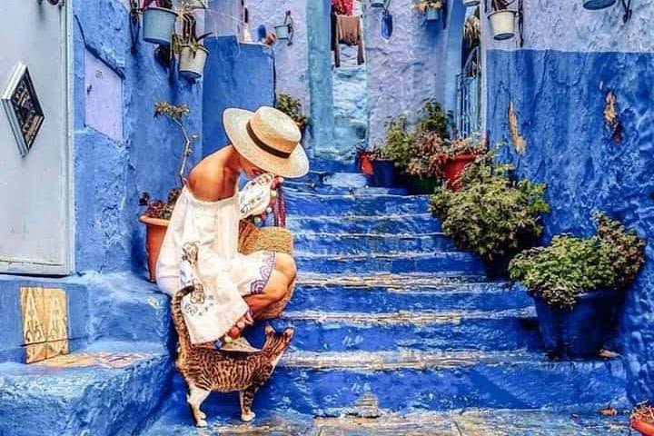 Chefchaouen Day Trip! The Blue Pearl image