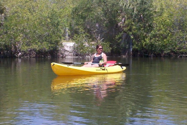 One Single Kayak Rental for 2 hours with Manatees and Dolphins! image