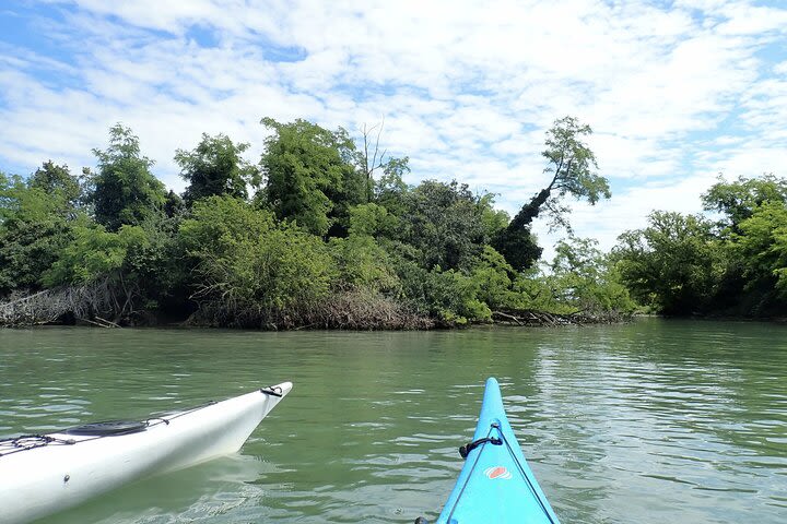 3 Hour Natural Lagoon Kayak Tour in Venice image