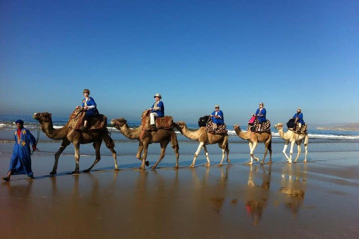 Agadir camel ride sunset & barbecue  image