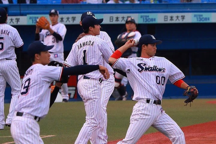 Baseball Experience with Yakult Swallows image