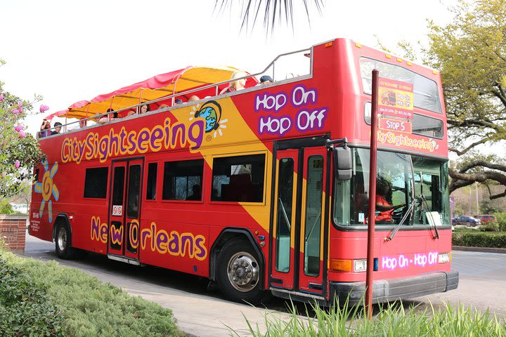 Hop-On Hop-Off New Orleans Unlimited Sightseeing Package image