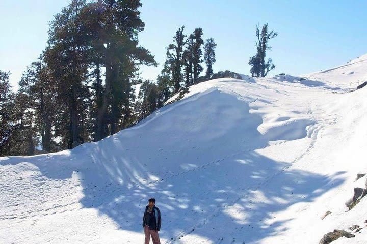 Trekking and Camping in Triund And Laka Glacier  image