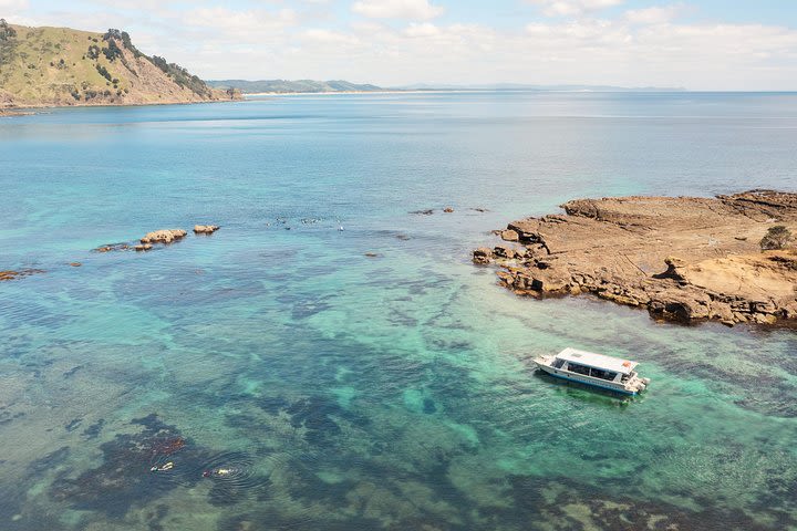 Glass Bottom Boat Tour image