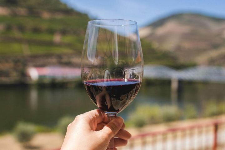 Douro Valley Wine Tour with Lunch image