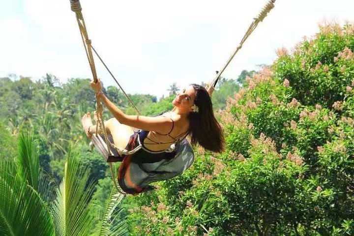 Jungle Swing Experience and White Water Rafting At Surya Bintang Adventures image