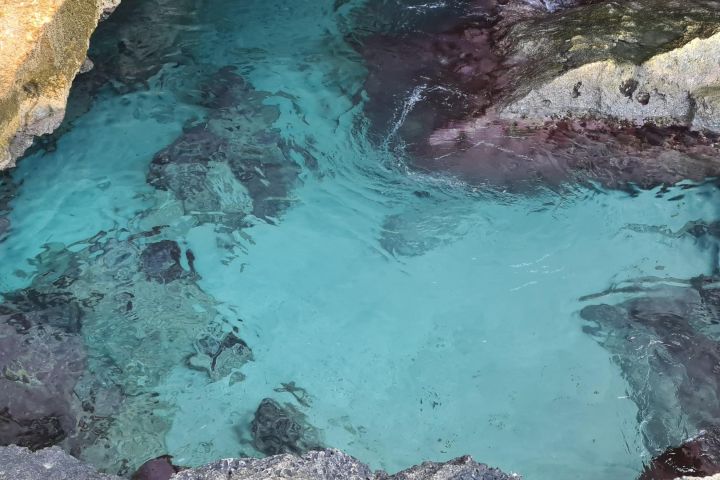 Aruba UTV Adventure with Natural Pool Swim image