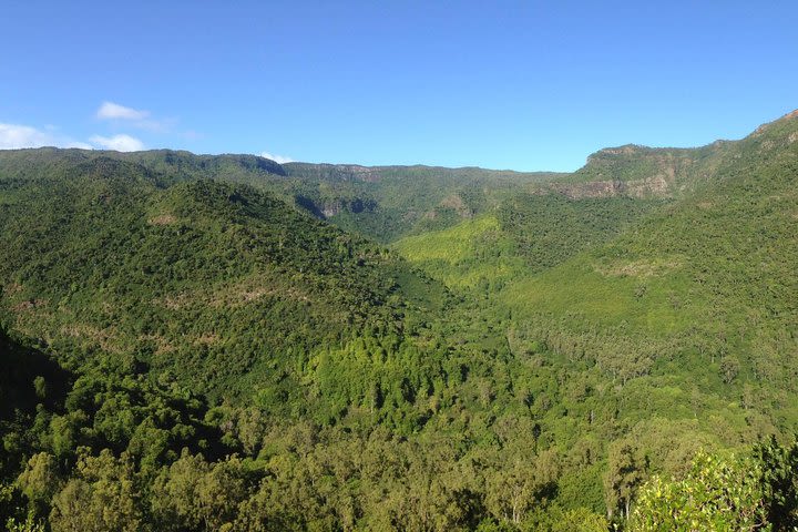 Black River Gorges - Forest Hike  image