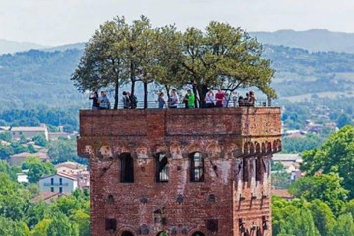 Lucca e Winery Private Tour image