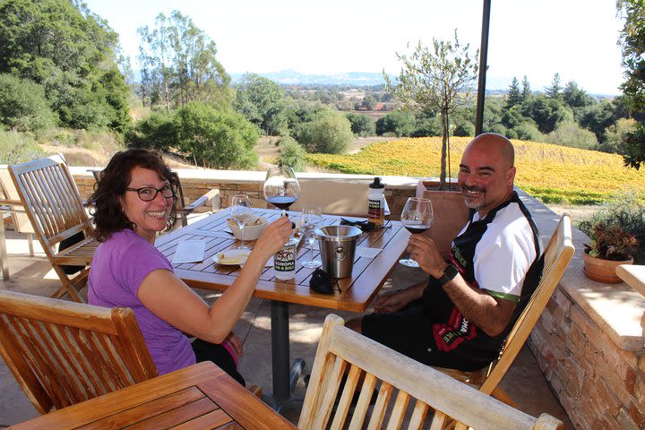 Guided Healdsburg Wine Country Bike and Wine Tasting Tour with lunch image