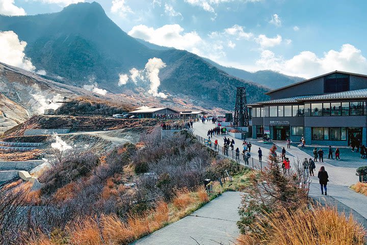 Hakone Private One Day Tour From Tokyo: Mt Fuji, Lake Ashi, Hakone National Park image