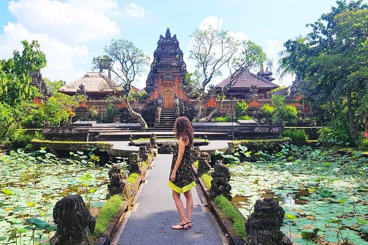 Private Bali Ubud Day Tour image