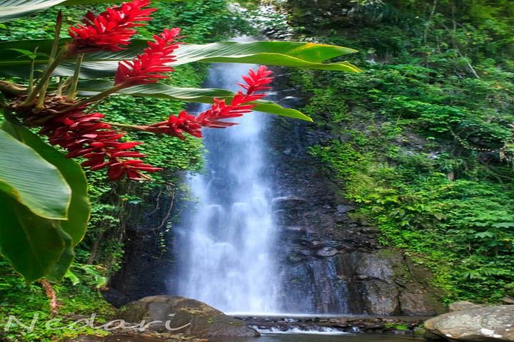 Dark View Falls with Trubb Taxi image