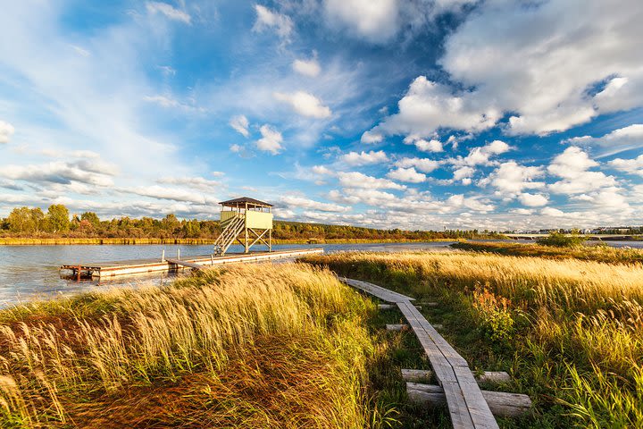 Rejuvenate Like A Local in the Arctic Wilderness image