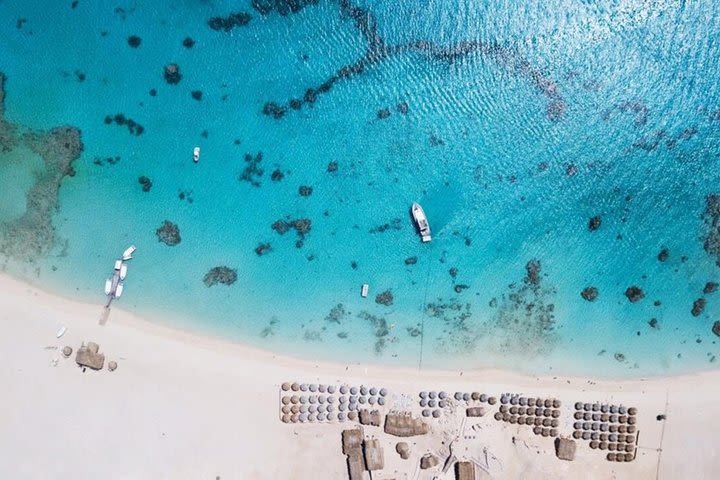 Giftun island snorkeling trip image