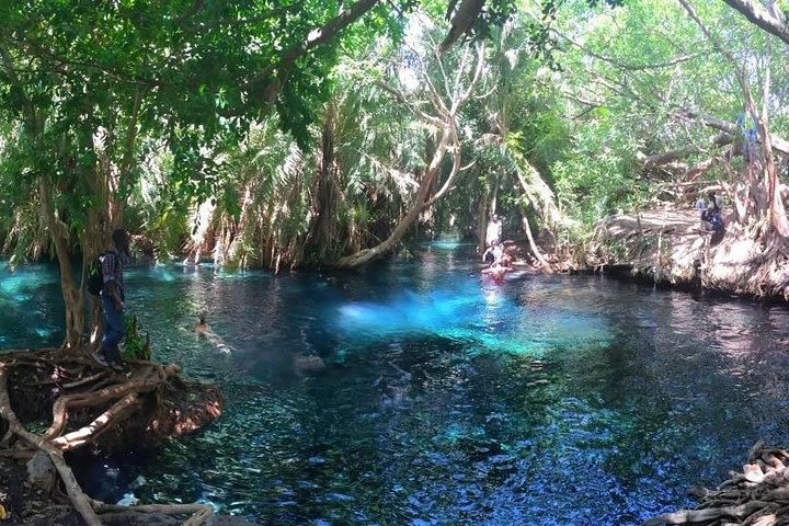 Kikuletwa Hot Spring Day Tour image