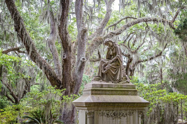 Wormsloe Plantation & Bonaventure Cemetery Tour from Savannah image