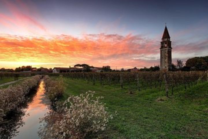 Private Cruise: Wine Tasting on the Islands from Venice image