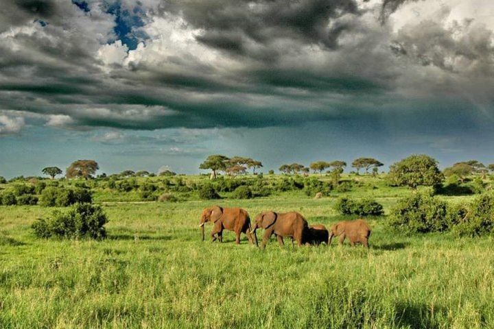 2 Days Joined Group Tarangire and Ngorongoro Crater National Park image