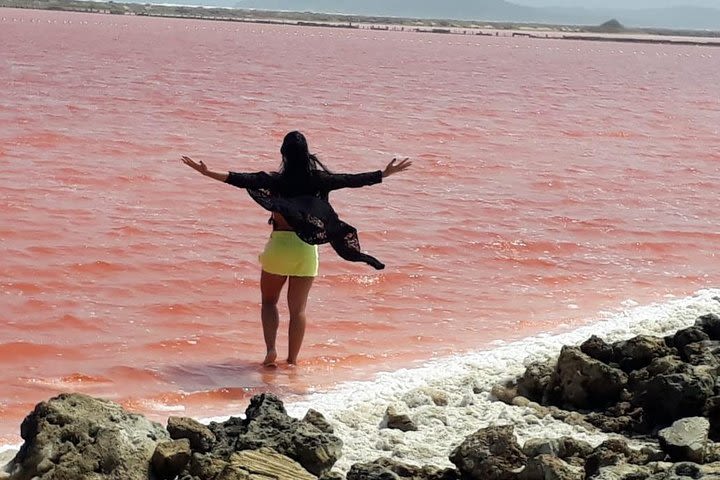 Wonderful experience in Salinas de Galerazamba Mar Rosado and Totumo Volcano image