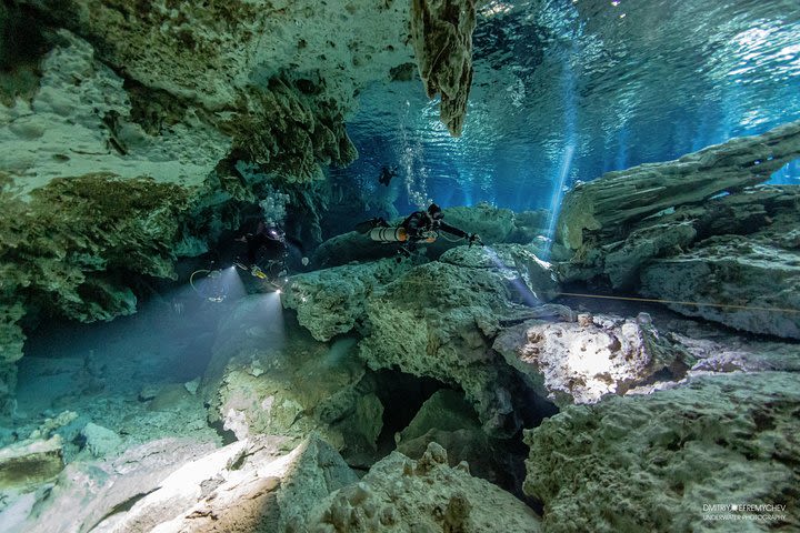 Cenotes diving Dos Ojos and The Bat Cave image