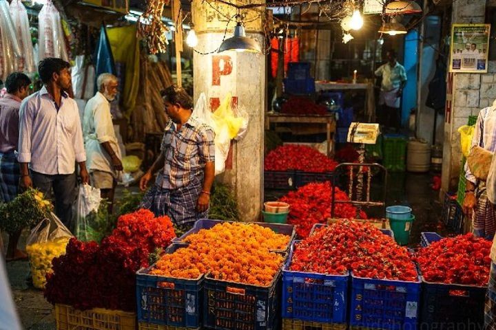 Koyambedu Market trail in Chennai by Wonder tours image