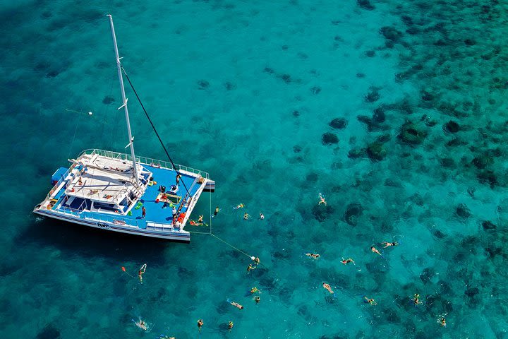 Key West Living Coral Reef Snorkel Adventure image