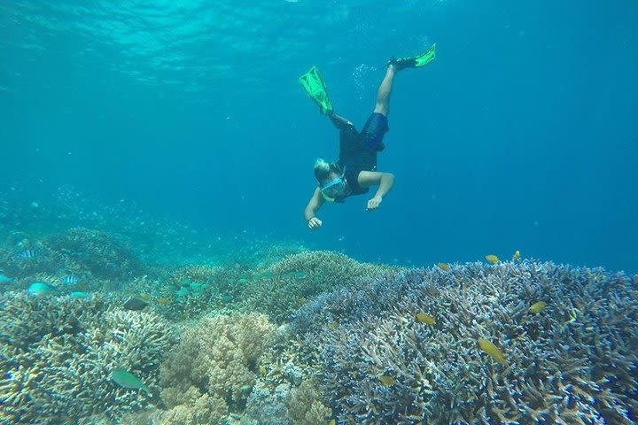 Snorkeling (Depart Gili T),Gili Trawangan, Gili Meno, image