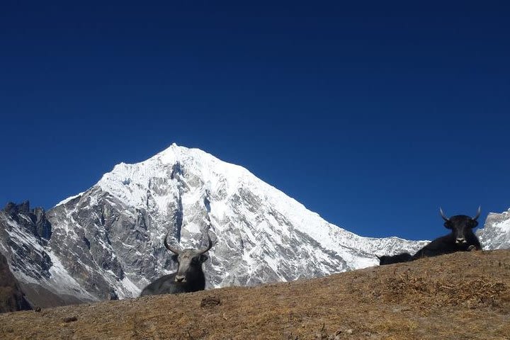 Chisapani Nagarkot Trek  image