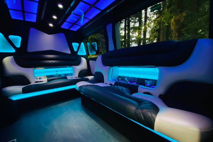 Private Tour in a 8 Passenger Mercedes Sprinter Limo Van image