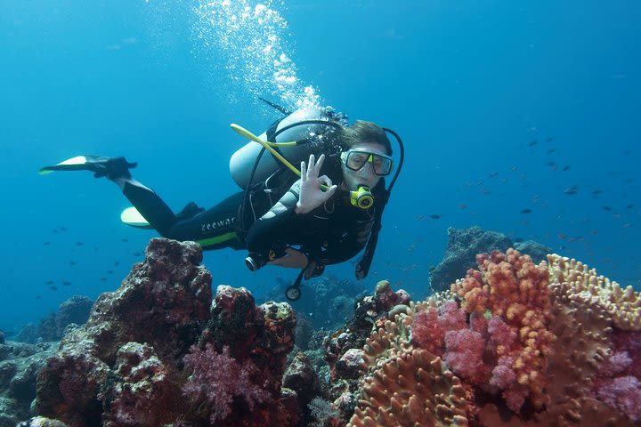 Diving Antalya Kemer image