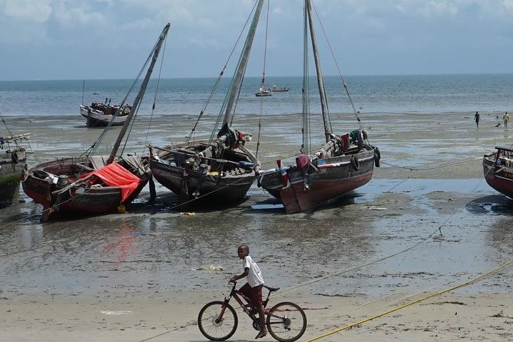 Bagamoyo day trip tour image