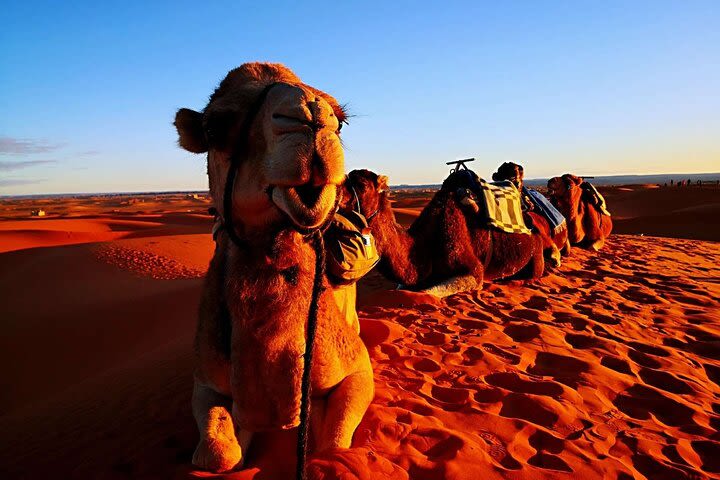 Private 3 Days Luxury Desert Tour from Fes to Marrakech image