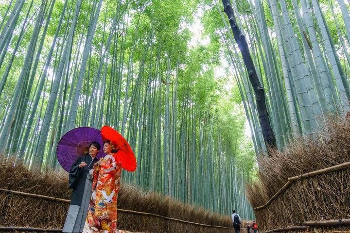 Arashiyama Bamboo Grove Day Trip from Kyoto with a Local: Private & Personalized image