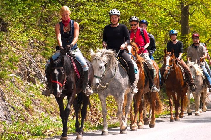 Scenic Horseback-Riding Tour from San Juan image